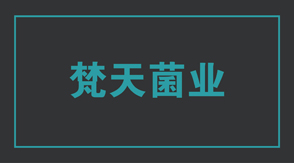 食品行业南京江宁区工作服设计款式