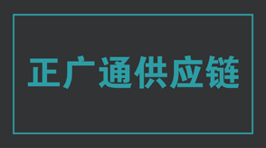 物流运输金湖工作服设计款式